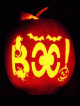 BOO with critters